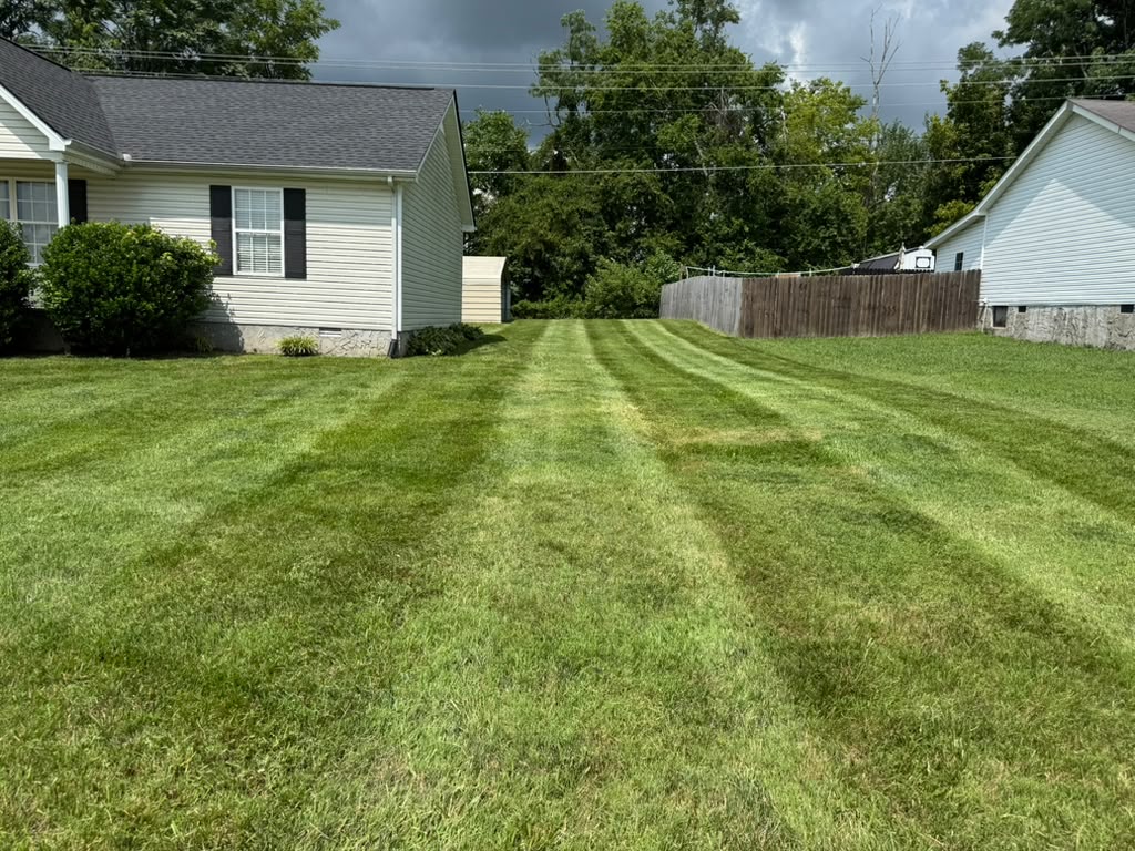 Fresh lawn mowing project